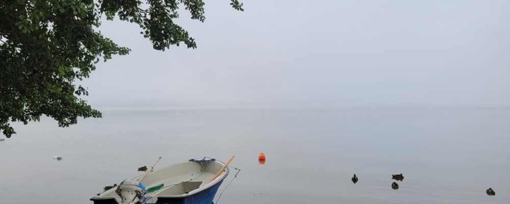 20220720_070243_Easy-Resize.com