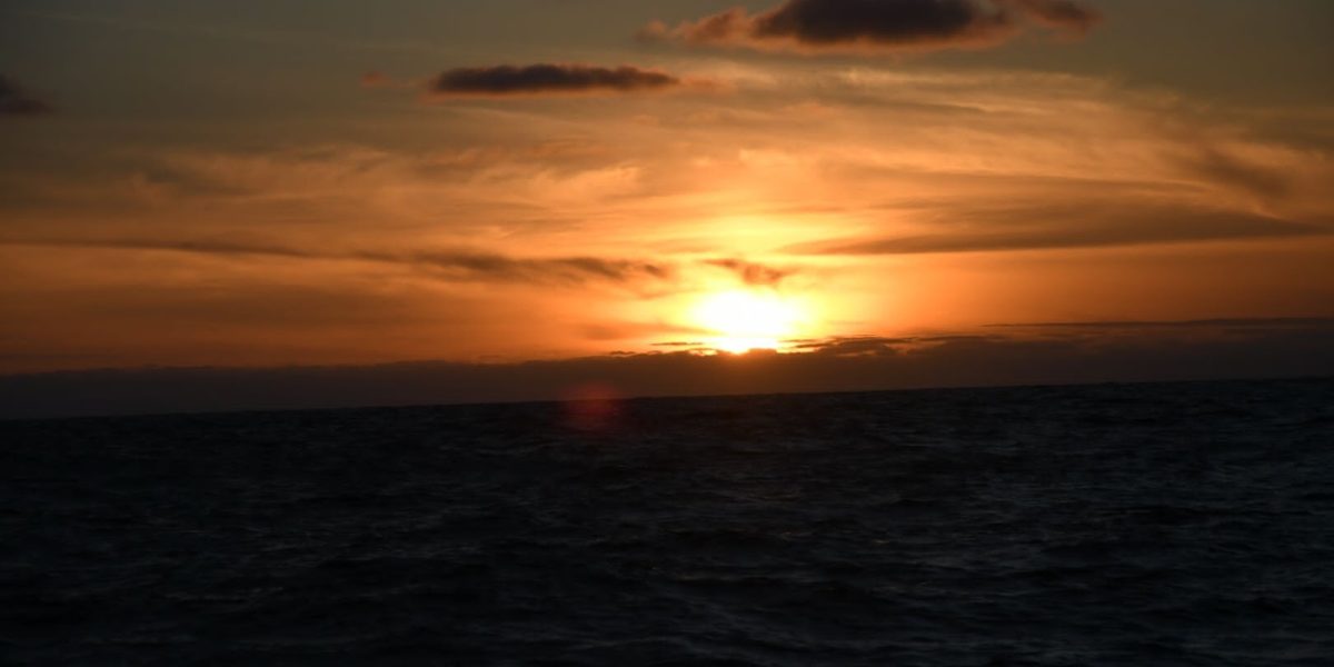 IMG-20220624-WA0045_Easy-Resize.com