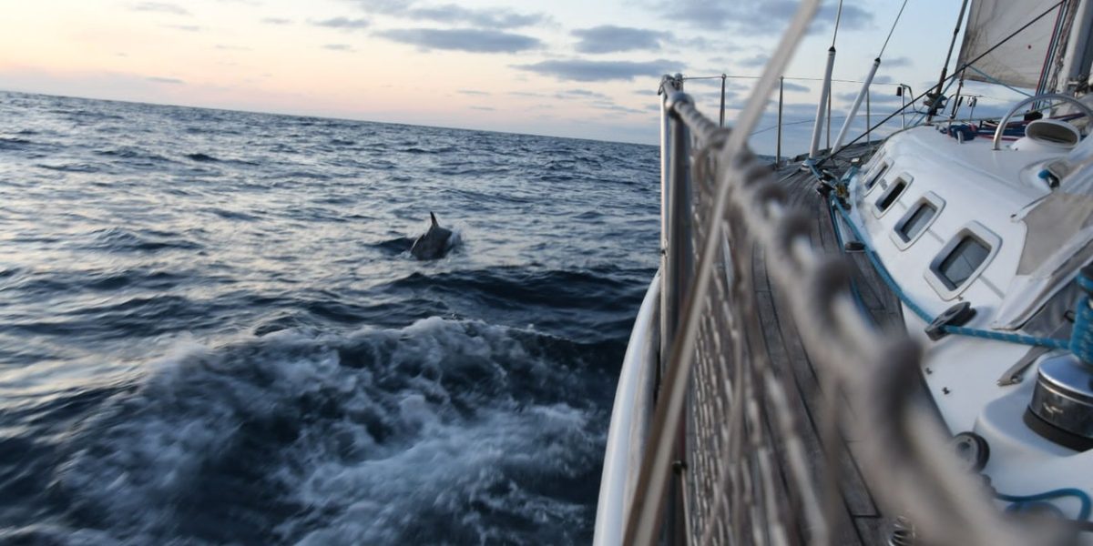 IMG-20220624-WA0077_Easy-Resize.com