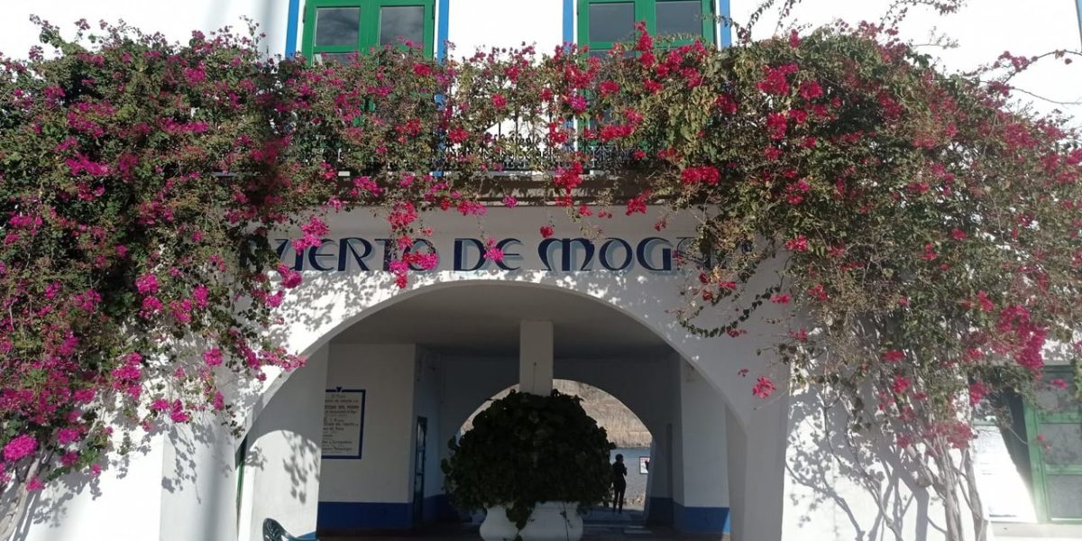 IMG-20230224-WA0011_Easy-Resize.com