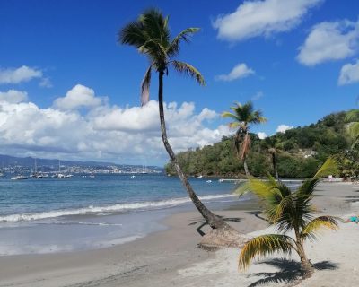 IMG-20241103-WA0008_Easy-Resize.com