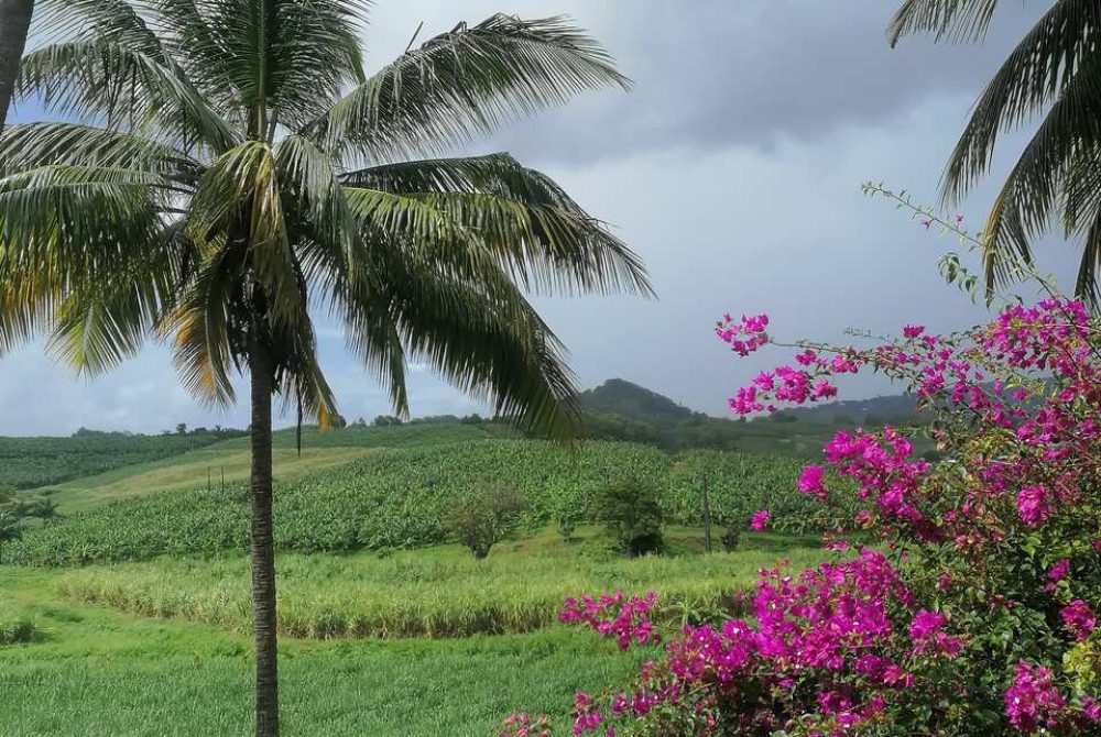 IMG-20241103-WA0024_Easy-Resize.com