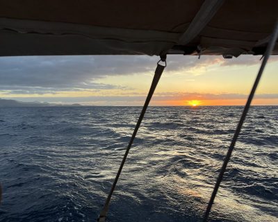 IMG_1410_Easy-Resize.com