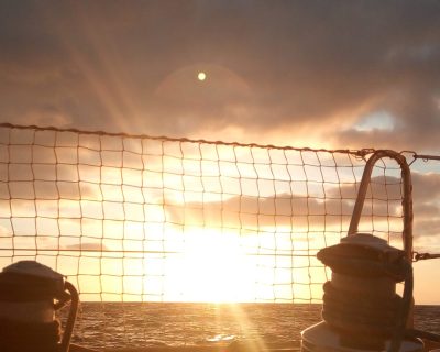 IMG_20220615_210206_Easy-Resize.com (1)