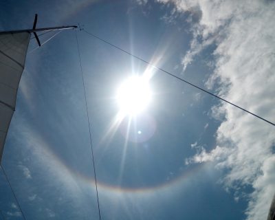 IMG_20220619_123425_Easy-Resize.com