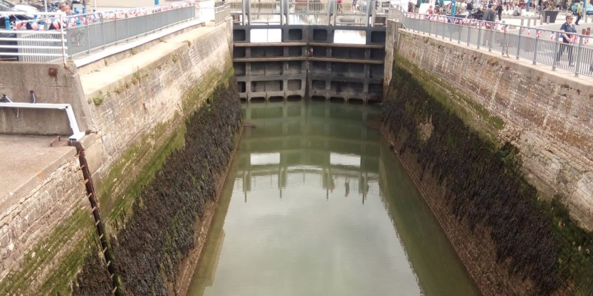 IMG_20220626_160520_Easy-Resize.com