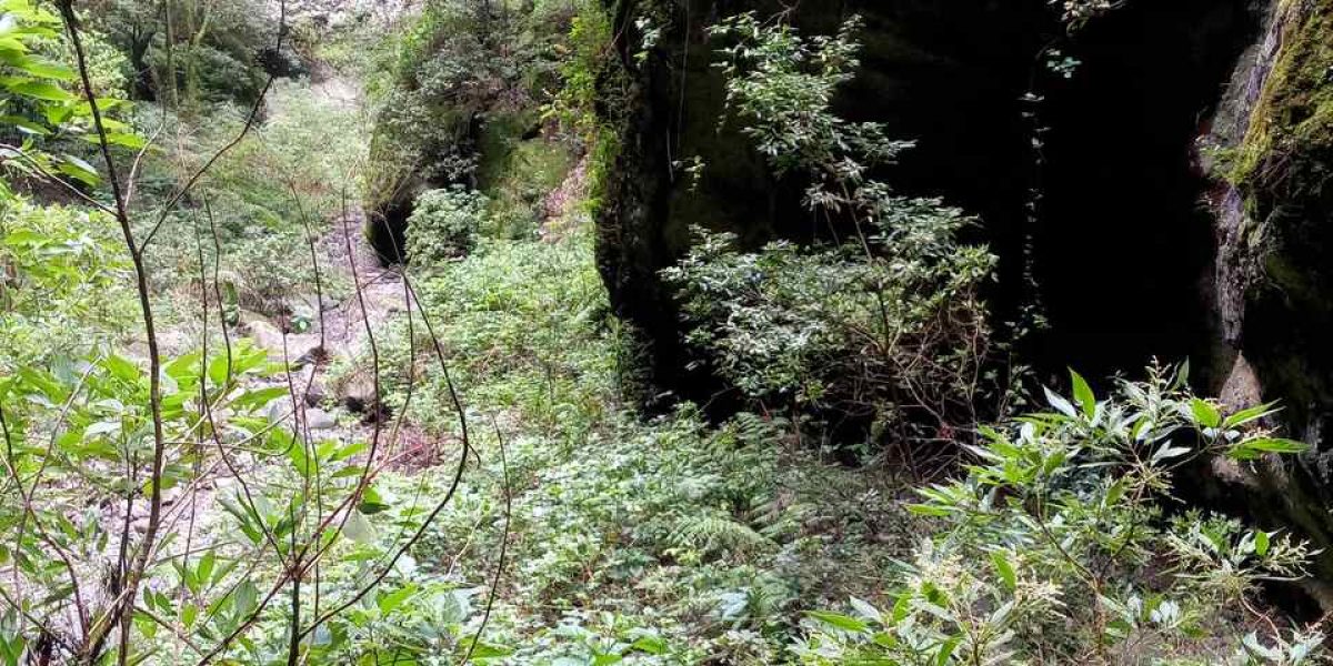 IMG_20230303_121402_6_Easy-Resize.com