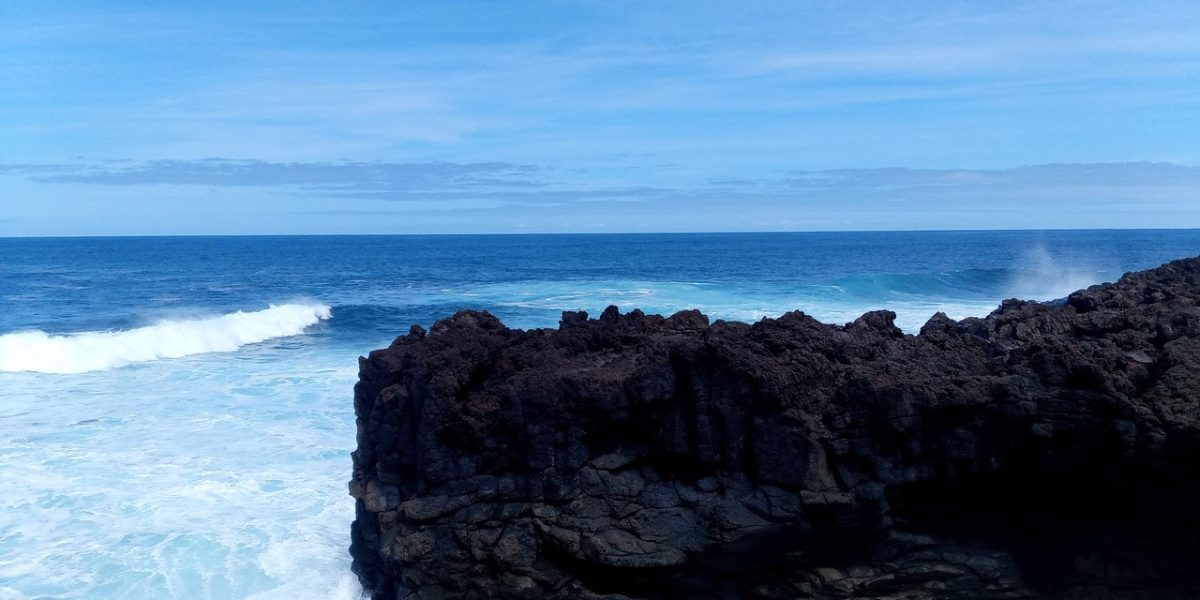 IMG_20230303_130610_7_Easy-Resize.com