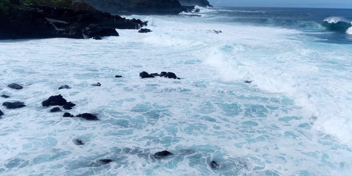 IMG_20230303_131633_9_Easy-Resize.com