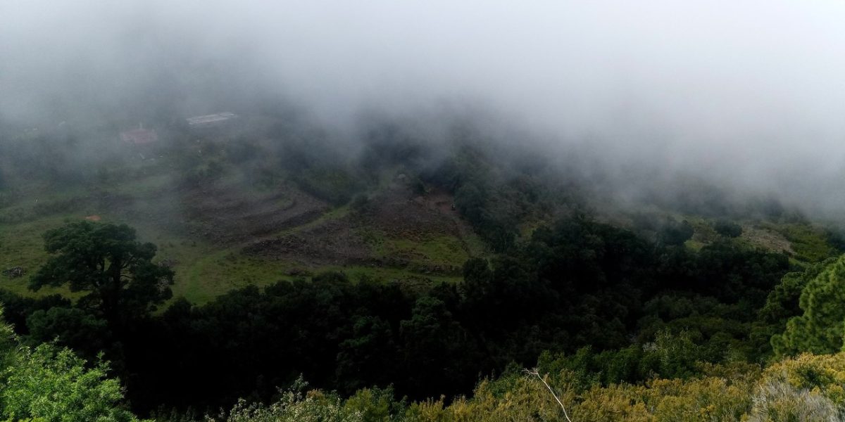 IMG_20230303_144904_1_Easy-Resize.com