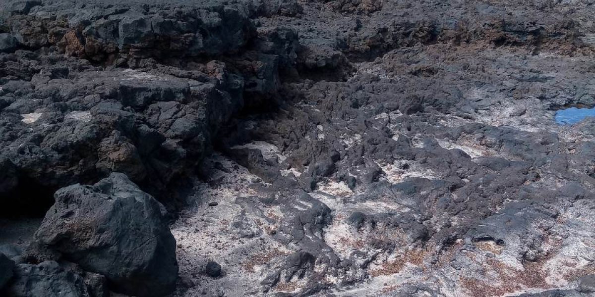 IMG_20230305_135705_2_Easy-Resize.com