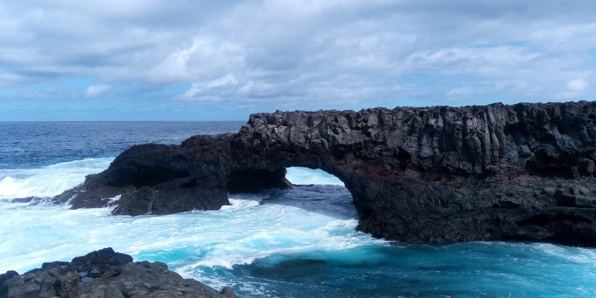 IMG_20230305_140640_3_Easy-Resize.com