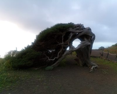 IMG_20230305_191830_0_Easy-Resize.com