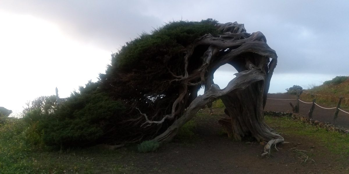 IMG_20230305_191830_0_Easy-Resize.com