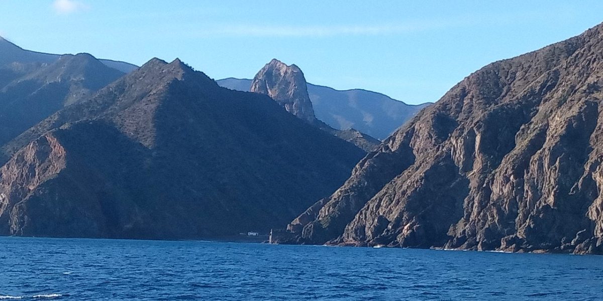 IMG_20230307_084832_1_Easy-Resize.com