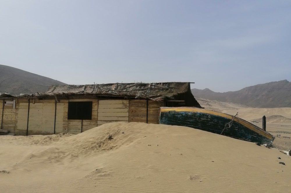 img_20211209_121323_Easy-Resize.com