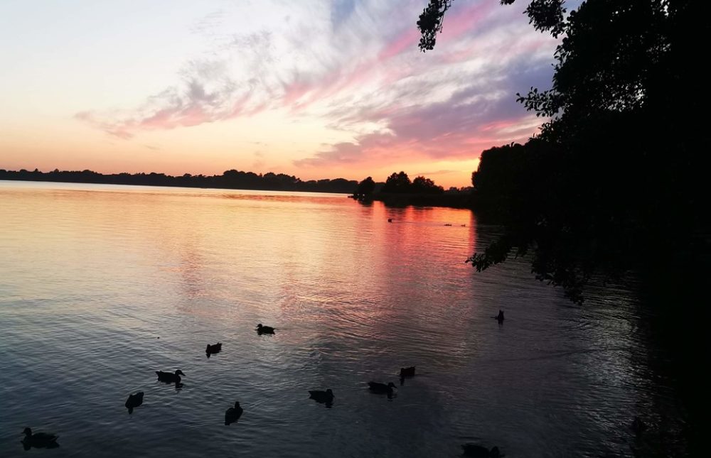 received_1226488581034011_Easy-Resize.com