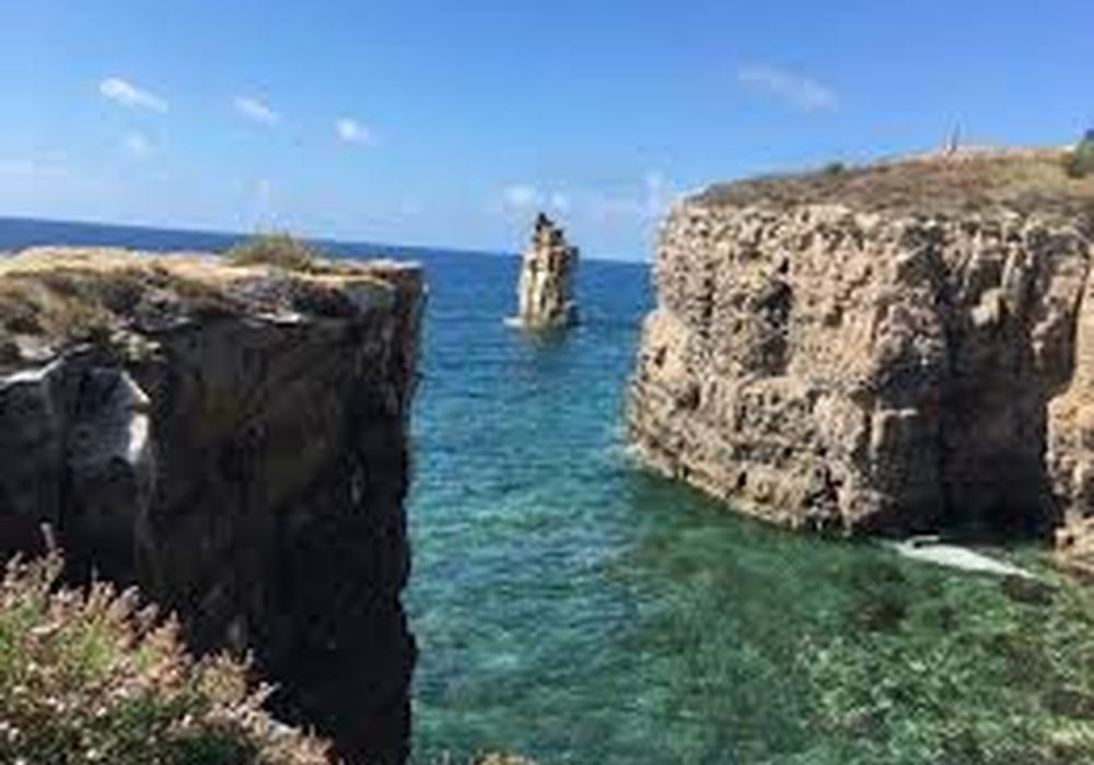 zach sardynia 3_Easy-Resize.com